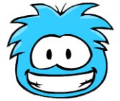 puffle-modry.jpg